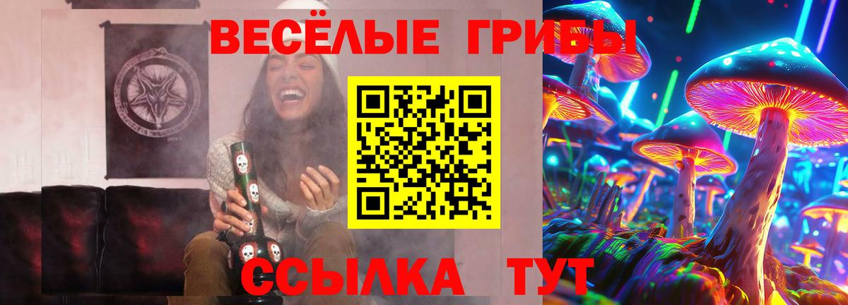 Псилоцибиновые грибы Ревда