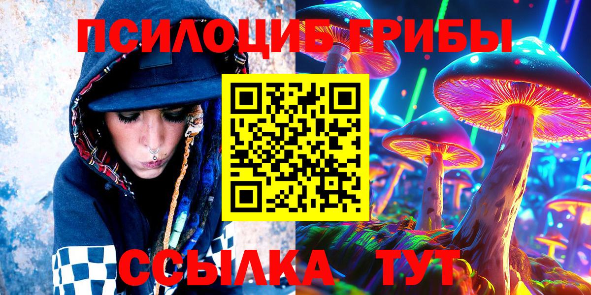 Галлюциногенные грибы Psilocybine cubensis Ревда