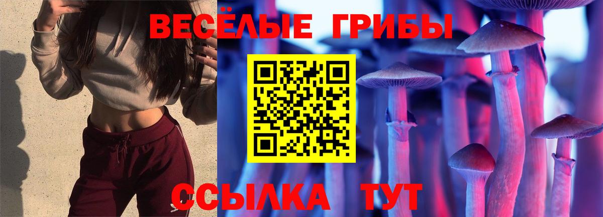 Ревда  Галлюциногенные грибы MAGIC MUSHROOMS  Вход с VPN 